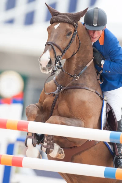 Cavaliere a cavallo durante il Global Champions Tour of Spain — Foto Stock