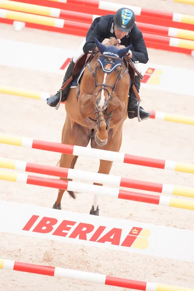 Rider on the horse during  Global Champions Tour of Spain — Stock Photo, Image