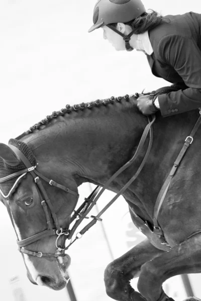 Cavalier à cheval lors du Tour d'Espagne des Champions du Monde — Photo