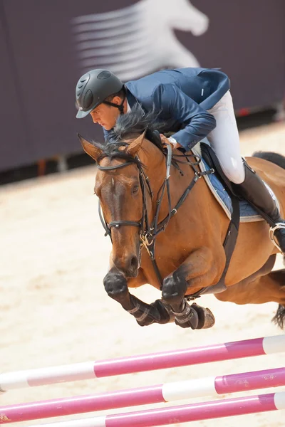 Cavalier à cheval lors du Tour d'Espagne des Champions du Monde — Photo