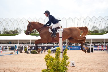 Binici küresel Şampiyonlar Tur İspanya atlı