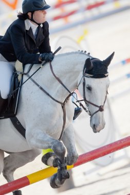 Binici küresel Şampiyonlar Tur İspanya atlı