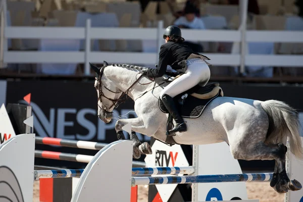 Cavalier à cheval lors du Tour d'Espagne des Champions du Monde — Photo