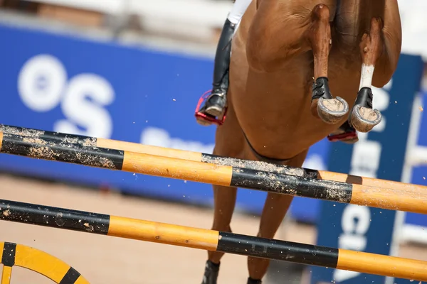 Cavaliere a cavallo durante il Global Champions Tour of Spain — Foto Stock