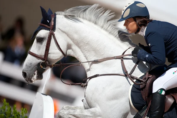 Всадник на коне во время Мирового Тура Чемпионов Испании — стоковое фото