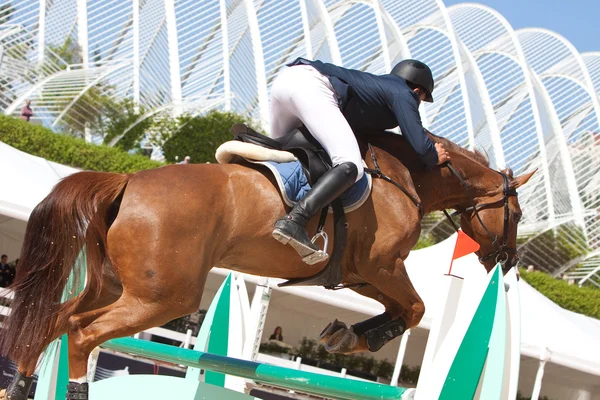 Rider on the horse during Global Champions Tour of Spain — Stock Photo, Image
