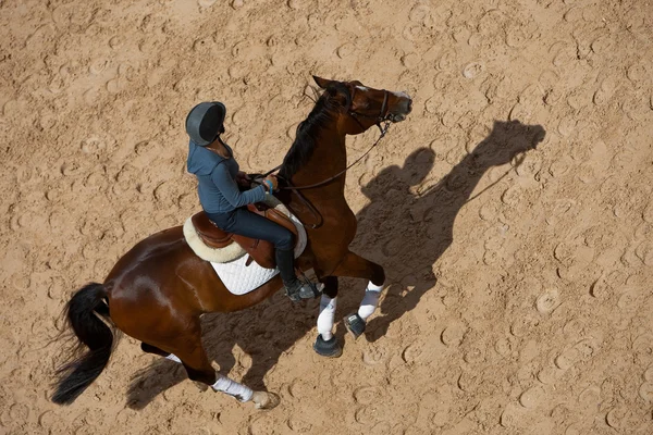 Cavaliere a cavallo durante il Global Champions Tour of Spain — Foto Stock