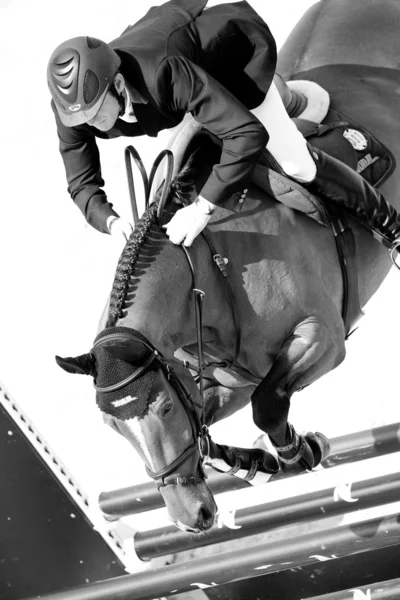 Cavalier à cheval lors du Tour d'Espagne des Champions du Monde — Photo