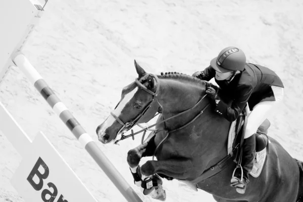 Rider on the horse during  Global Champions Tour of Spain — Stock Photo, Image