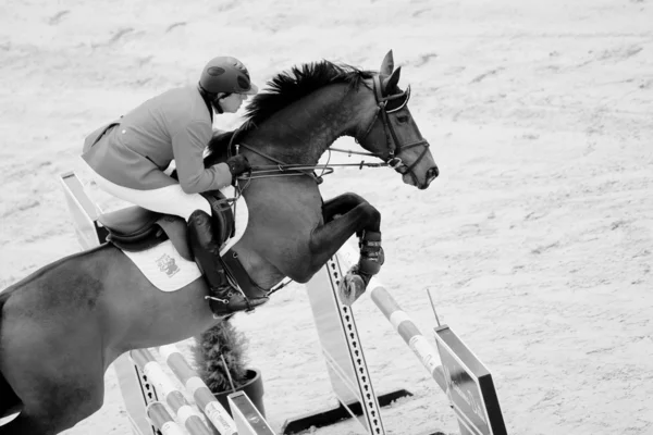 Rider on the horse during  Global Champions Tour of Spain — Stock Photo, Image