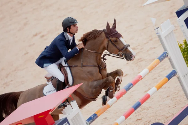 Rider on the horse during  Global Champions Tour of Spain — Stock Photo, Image