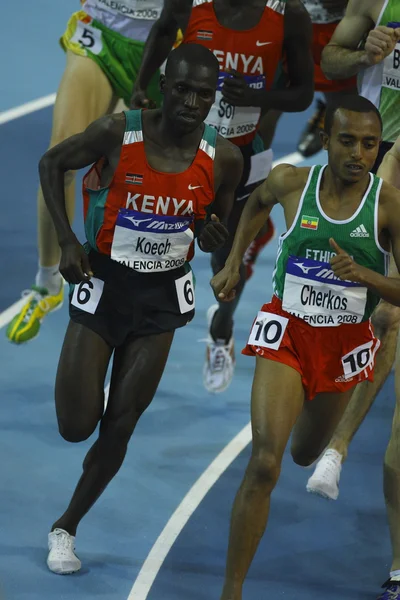 Cherkos e Koech competem nos 3000 metros masculinos — Fotografia de Stock
