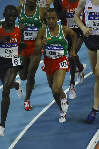 Cherkos, Koech ve Tariku Bekele yarışıyor Erkekler 3000 metre — Stok fotoğraf