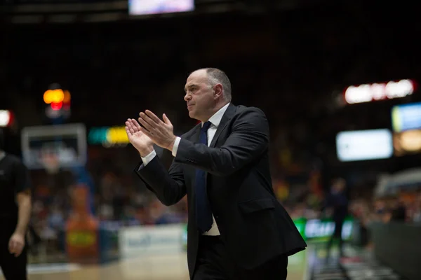 Pablo Laso, treinador do Real Madrid — Fotografia de Stock