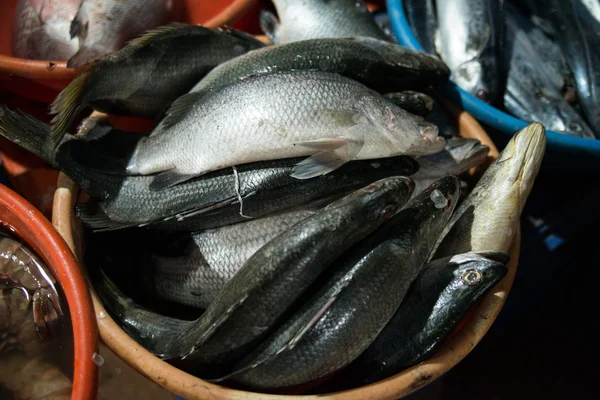 Makanan laut di pasar lokal di Goa, India — Stok Foto