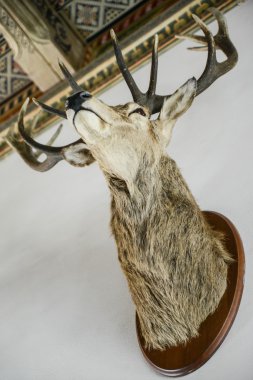 Old center of Belorussia city