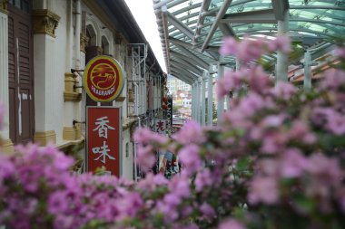 Chinatown, Singapur, 27.12.2013