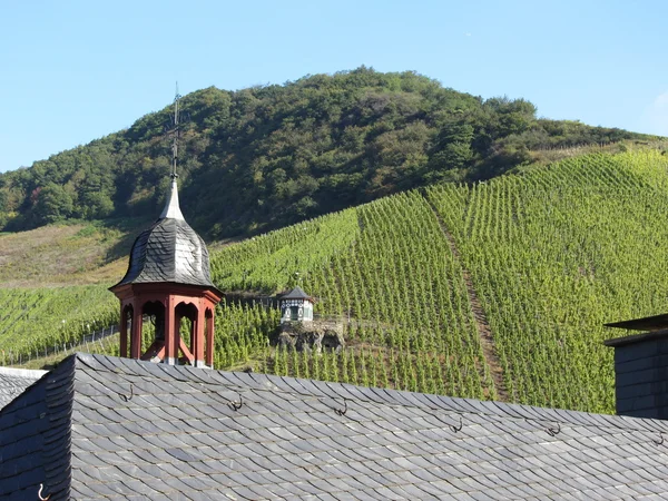 Vignobles sur la Moselle en Allemagne — Photo