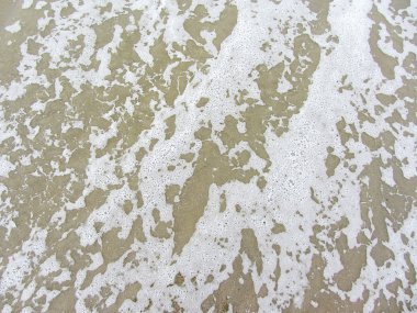 Lahey sonbahar plaj. Hollanda. den haag