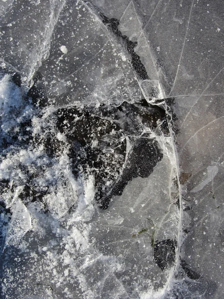 Frozen puddle. picture of ice background — Stock Photo, Image