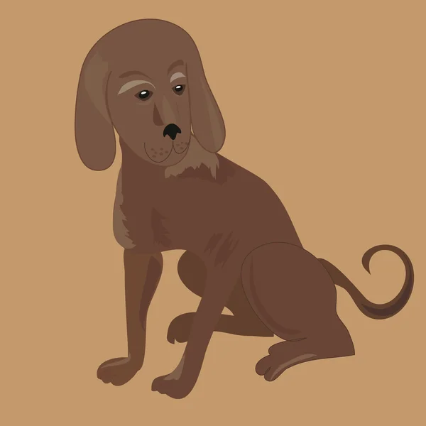 Cachorro perro de caza — Vector de stock