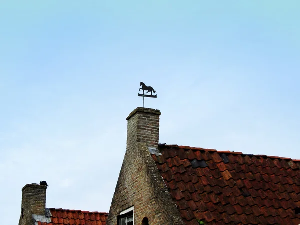 Häst vindflöjel vertikal bild ovanpå hem — Stockfoto