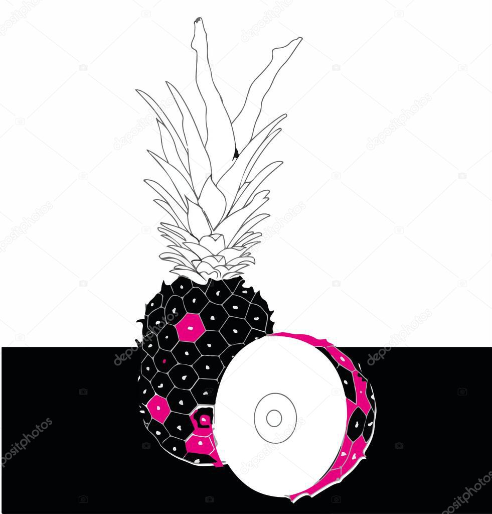 vector illustration of a cutted pineapple