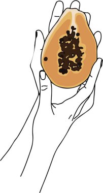 Papaya meyvesi tutan kadın elleri.