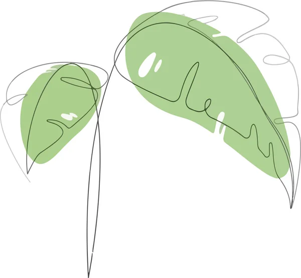 Векторна Ілюстрація Тропічної Рослини Зеленими Плямами Білому Тлі — стоковий вектор