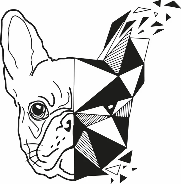 Fransız Bulldog 'unun siyah beyaz çizimi, buldogların yarısı çizim stili, diğer yarısı ise soyut.