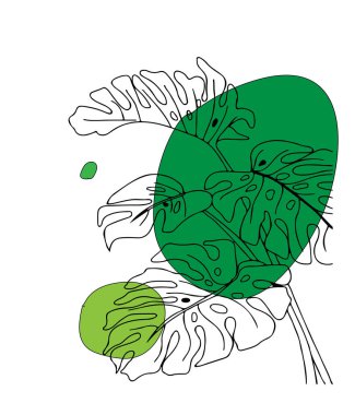   el çizimi eskiz arkaplan yeşil benekli tropikal yapraklar