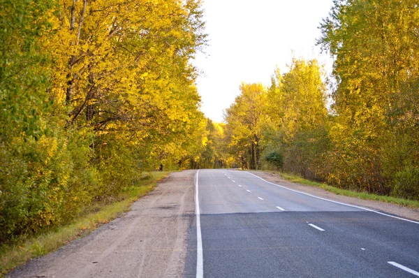 Beautiful deserted autumn road on a bright Sunny day. Filled with the Golden color of autumn and yellow leaves