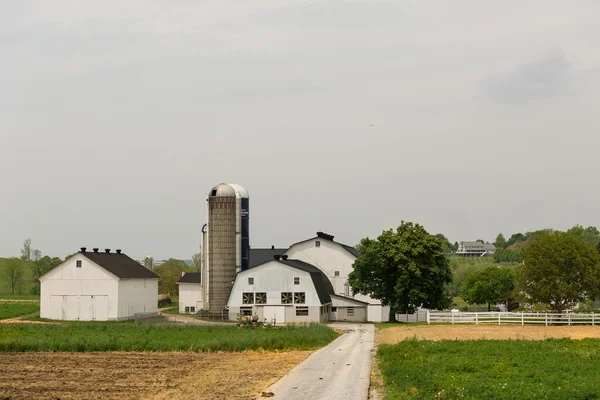 Amish χωριό στην Πενσυλβάνια — Φωτογραφία Αρχείου