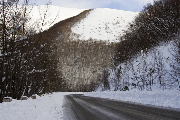 kış yolu