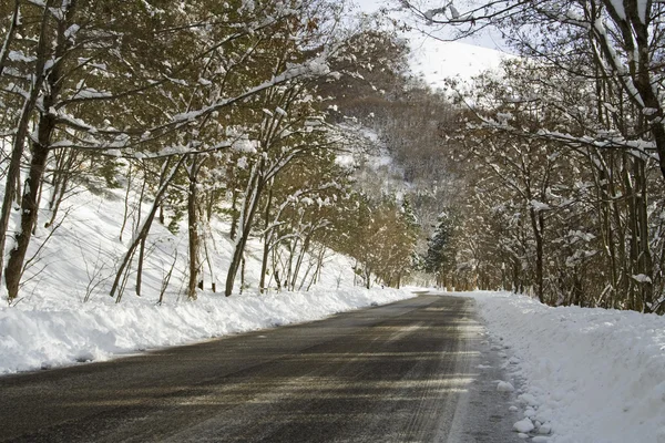 kış yolu