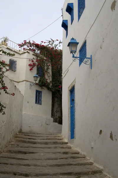 Sidi bou azt mondta: — Stock Fotó