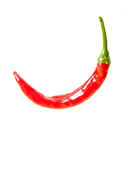 Červená chilli paprika — Stock fotografie