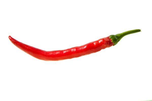 Red chili pepper — Stock Photo, Image