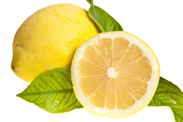 Limon — Stok fotoğraf