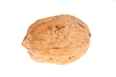 ceviz