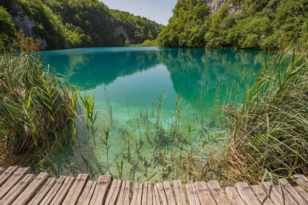 Träväg Med Kristallklart Blått Vatten Grön Skog Sommartid Vid Plitvicesjöarna — Stockfoto