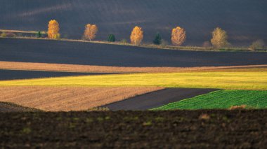 Tarım alanlarına panoramik manzara ve yer tepeleri arasındaki sonbahar ağaçları