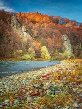 Nehir kenarına portre manzarası orman ve büyük taş kayalar.