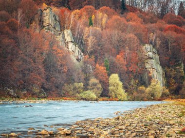 Nehir kıyısındaki sonbahar ormanlarındaki dev kayalara bakıyorum.