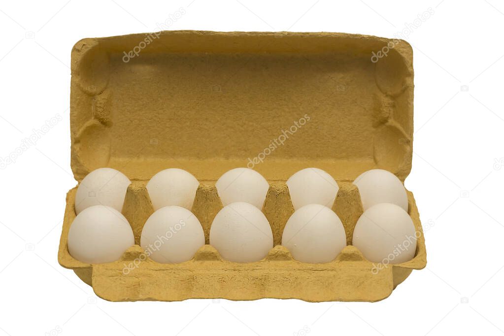 white chicken egg in package on white background with place for text copy space