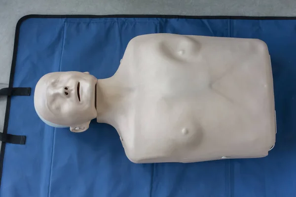 human model for practicing heart massage and artificial respiration