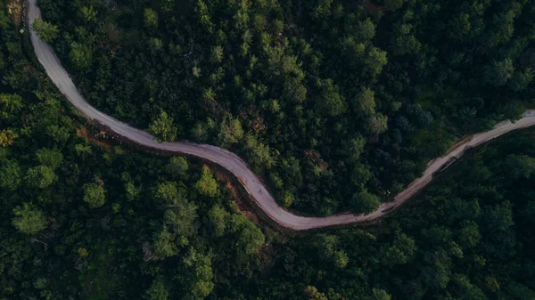 Narrow street between the forest, drone view. High quality photo