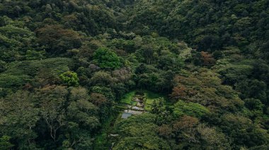 Hawaii 'nin Büyük Adası' ndaki Waipio Vadisi 'nin sisle ve bulutlarla örtülü güzel şelaleleri..