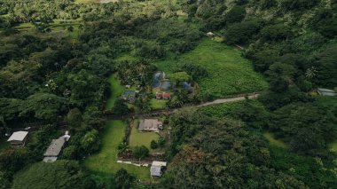 Hawaii 'nin Büyük Adası' ndaki Waipio Vadisi 'nin sisle ve bulutlarla örtülü güzel şelaleleri..