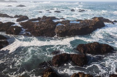  Pasifik kıyısındaki Glass Beach. Fort Bragg, Kaliforniya, ABD. Yüksek kalite fotoğraf